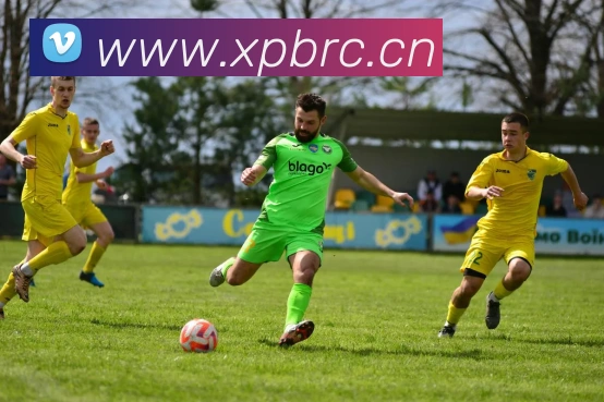 App Interface Preview